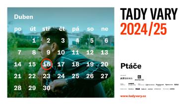 TADY VARY: Ptáče